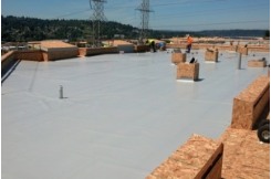 Single Ply Roofing System