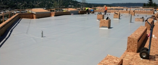Single Ply Roofing Systems
