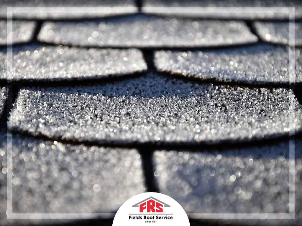 Debunking Common Myths About Asphalt Shingle Roofing
