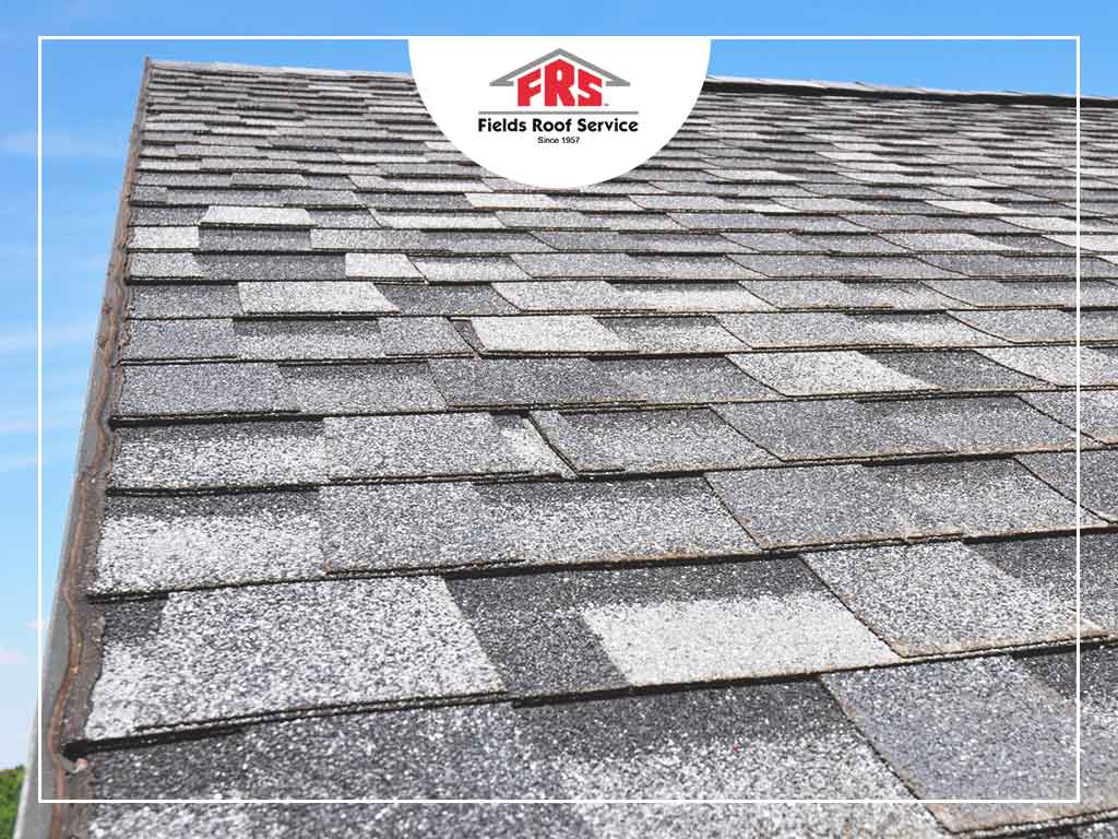 Important Facts You Need To Know About Asphalt Roofing