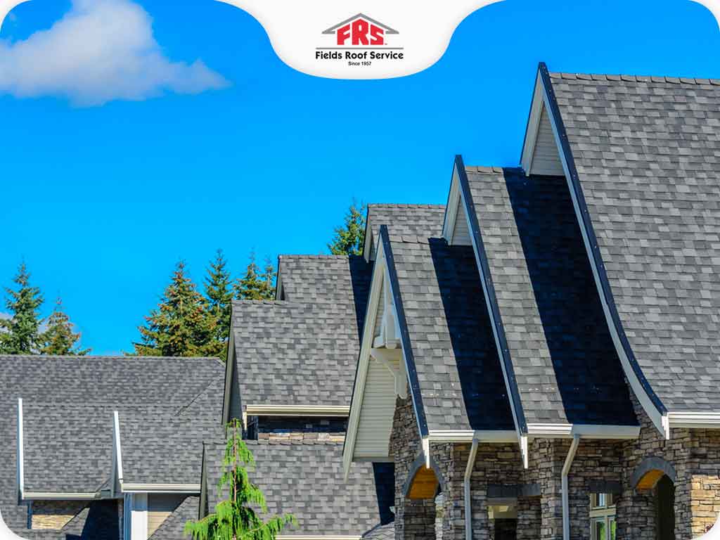 Questions You Should Ask During A Roof Inspection