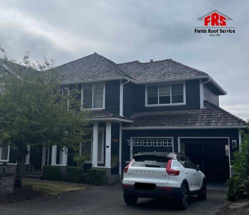 Protect Your Home with Expert Roof Repair and Replacement